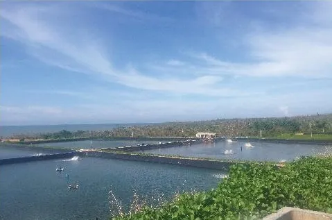 Aerated aquaculture ponds holding water.